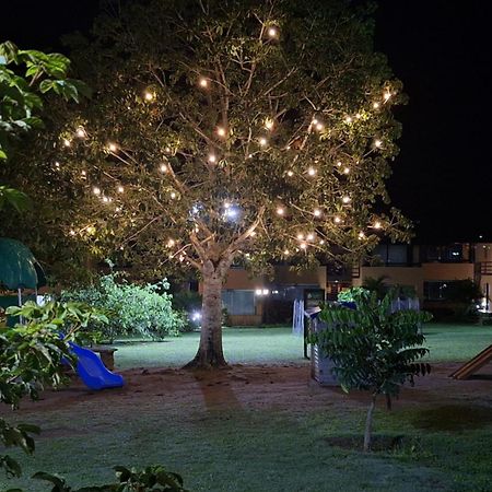 Winterville Flat 213 Gravata  Luaran gambar