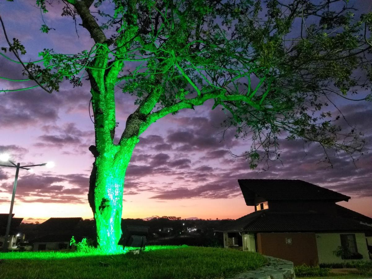 Winterville Flat 213 Gravata  Luaran gambar