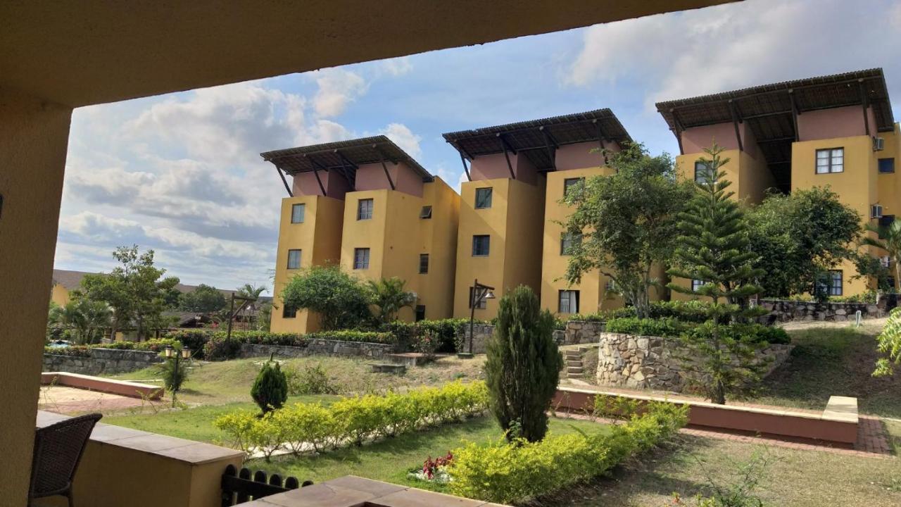 Winterville Flat 213 Gravata  Luaran gambar