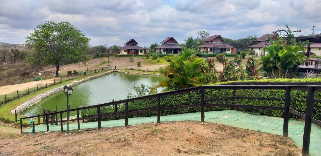 Winterville Flat 213 Gravata  Luaran gambar