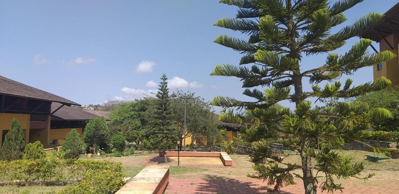 Winterville Flat 213 Gravata  Luaran gambar