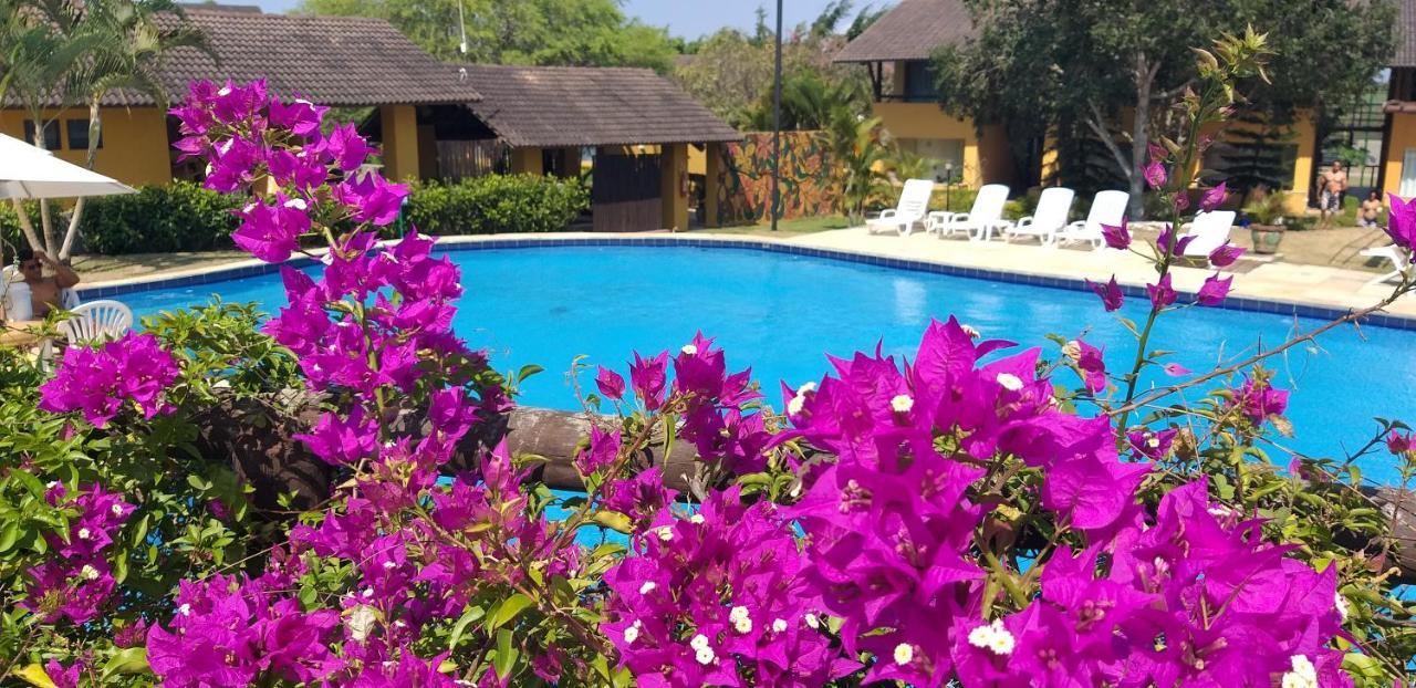 Winterville Flat 213 Gravata  Luaran gambar