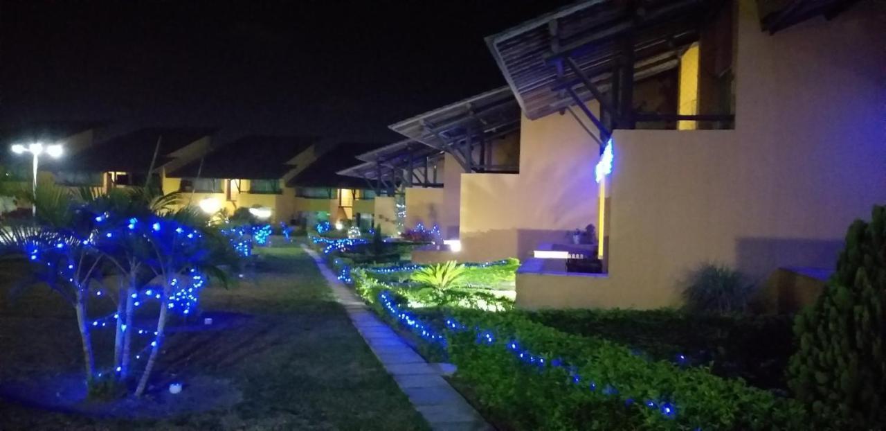 Winterville Flat 213 Gravata  Luaran gambar