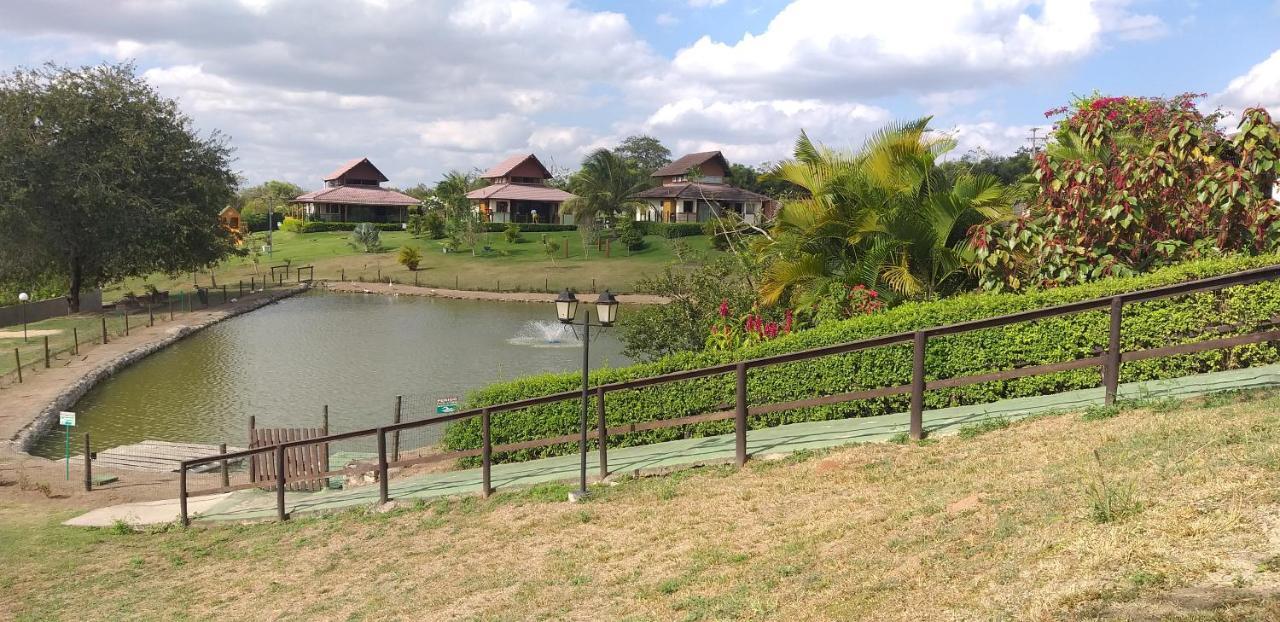 Winterville Flat 213 Gravata  Luaran gambar