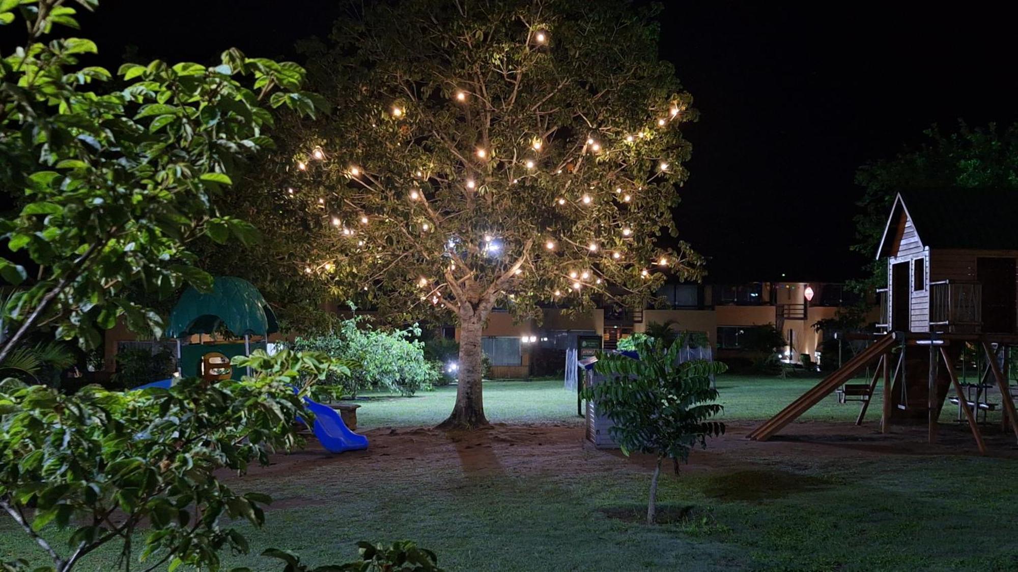 Winterville Flat 213 Gravata  Luaran gambar